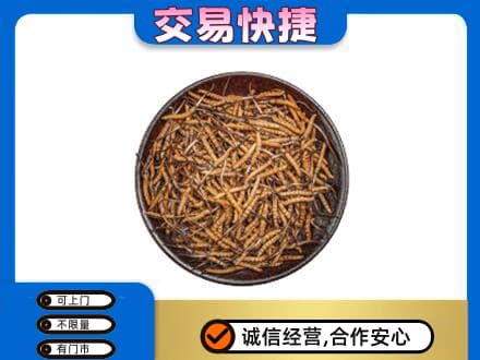 六盘水礼品回收虫草.jpg